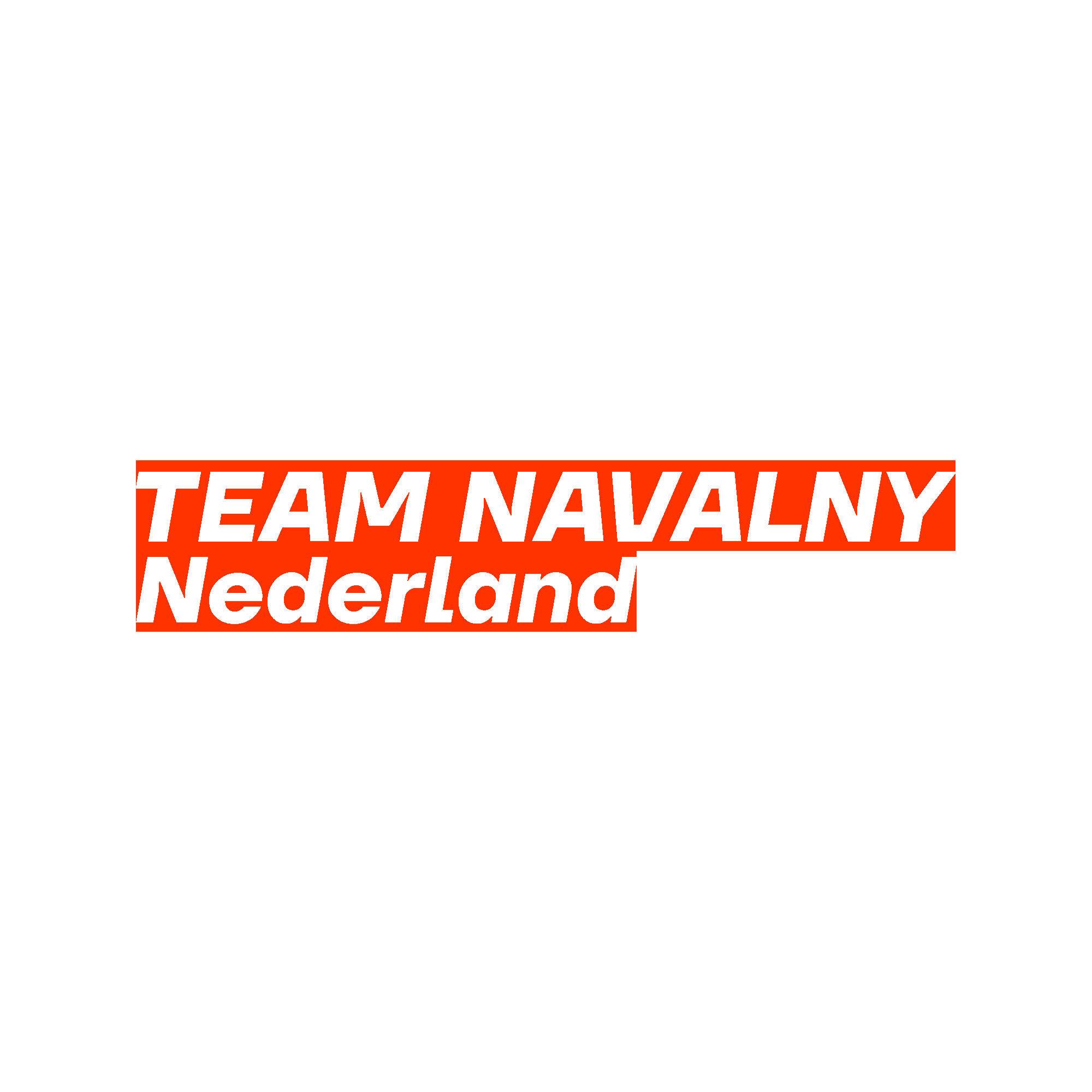 teamnavalny logo